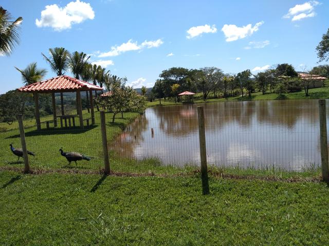 Chácara de 1 alqueire entre Ouro Verde e Petrolina, com muita água - Foto 6