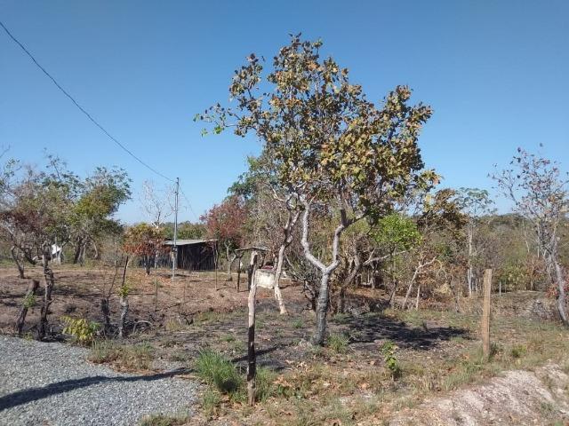 Chácara km 22 estrada da guia - Foto 5