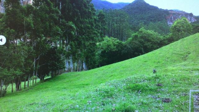 Aceita troca em Bombinhas/SC, sítio com 105.000 m² à venda em Botuverá /SC - Foto 11