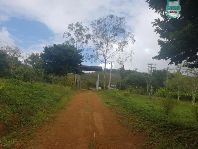 Igrapiúna. Fazenda com 845 Hectares e cachoeira, cacau, pupunha e seringa. - Foto 18