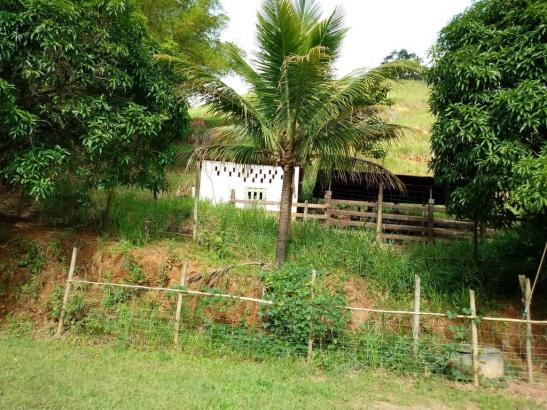 Sítio à venda em Córrego dos monos, Mesquita cod:559 - Foto 3