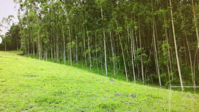 Aceita troca em Bombinhas/SC, sítio com 105.000 m² à venda em Botuverá /SC - Foto 17