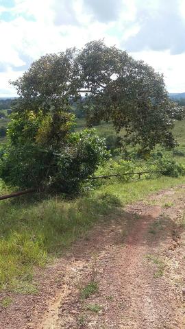 Fazenda na Cidade de Mata de São João - Foto 18