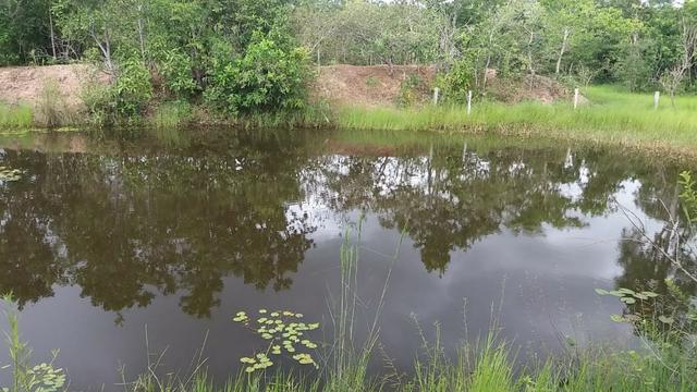 Vendo Sítio no Município de Poconé - MT - Foto 4