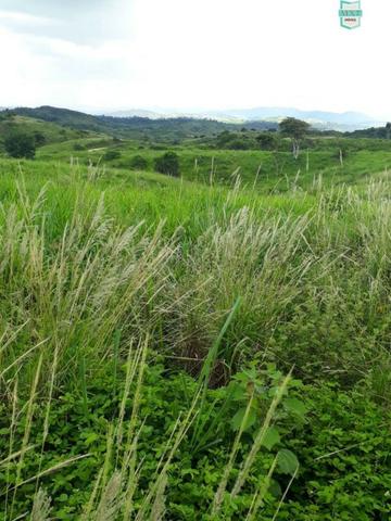 Itaju do Colônia. Fazenda de 400 Hectares. para pecuária. - Foto 15