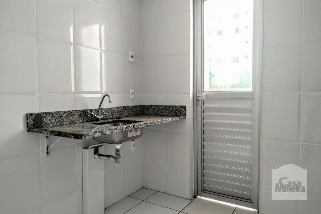 Apartamento à venda com 3 dormitórios em Alto caiçaras, Belo horizonte cod:256280 - Foto 11