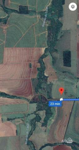 Chácara 56.000 m² - Foto 3
