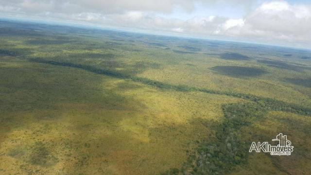 Fazenda à venda, 690000000 m² por r$ 172.500.000,00 - centro - fernando falcão/ma - Foto 5