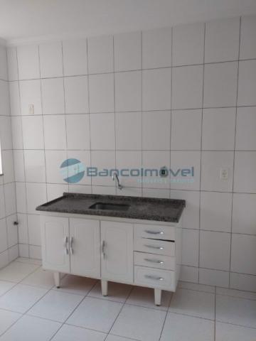 Apartamento para alugar com 2 dormitórios em Jardim ypê, Paulínia cod:AP02415 - Foto 5