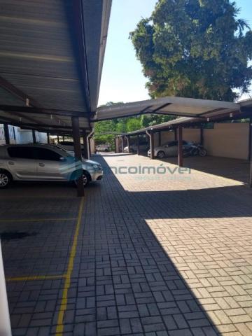 Apartamento para alugar com 2 dormitórios em Jardim ypê, Paulínia cod:AP02415 - Foto 16