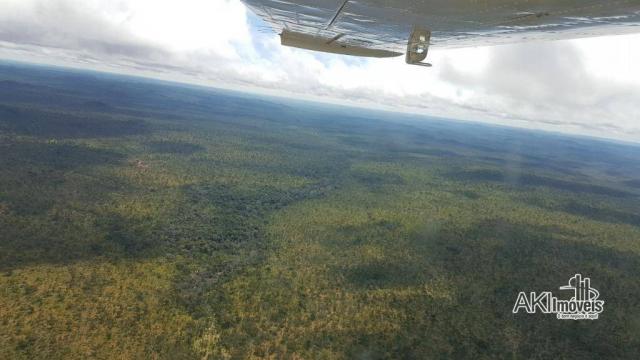 Fazenda à venda, 690000000 m² por r$ 172.500.000,00 - centro - fernando falcão/ma - Foto 6