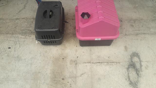 Casinha é transportador para gatos - Foto 4