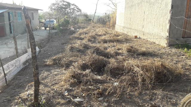 Terreno em mandacaru gravata pe