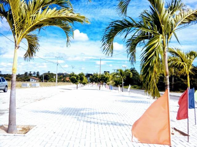 Seu sonho e de sua família agora pode se tornar realidade, Lotes em Cascavel - Foto 14