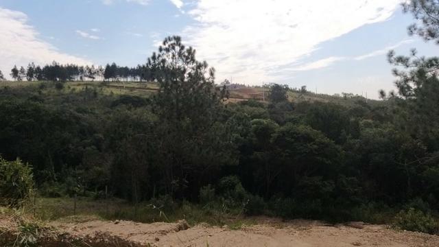 _Vendo terreno com ótimo acesso_ - Foto 3