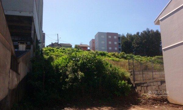Terreno à venda em Kayser, Caxias do sul cod:11491 - Foto 3