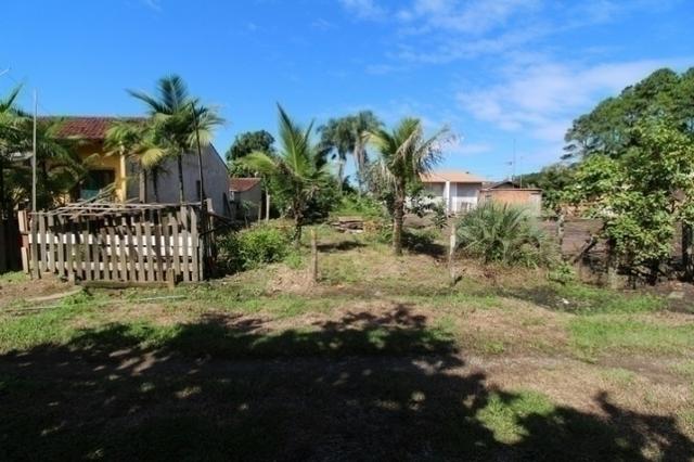 1290 Excelente Terreno no Bairro Pinheiros, distante 250 metros da lagoa - Foto 2