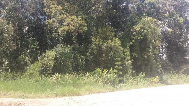 Bom terreno de 12.80 x 24 total 307,20 m2 em itapoá na área retro portuária, aproximadamen - Foto 6