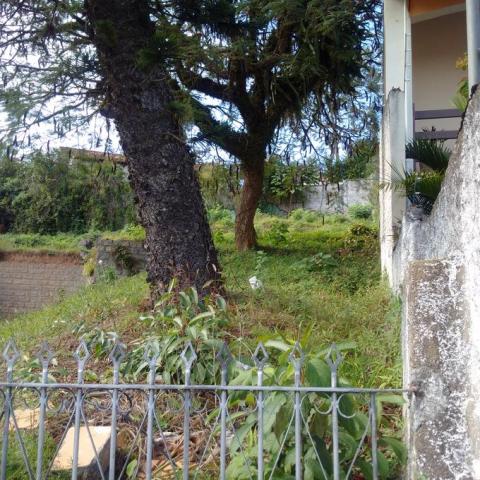 Terreno à venda em Itaguaçu, Florianópolis cod:62169 - Foto 2