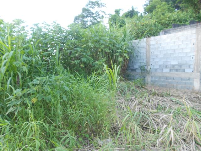 Galpão/depósito/armazém à venda em Jardim santo antônio, Poá cod:GL00034 - Foto 5