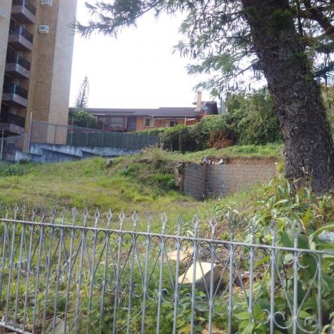 Terreno à venda em Itaguaçu, Florianópolis cod:62169