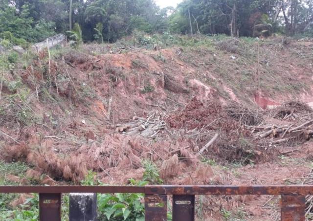 Terreno à venda em Vila santo antônio, Cotia cod:62415 - Foto 2