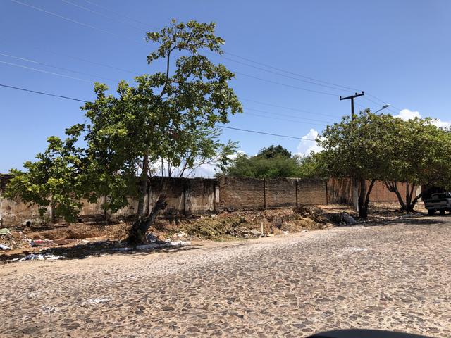Terreno Parnaíba - Excelente oportunidade!!! - Foto 2