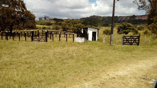 Fazenda 94,5 Ha. Pilar - Foto 4