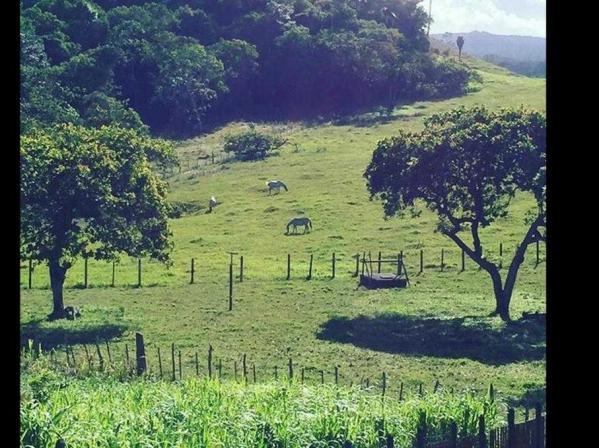 Sítio à venda em Centro, Candeias cod:47498 - Foto 17