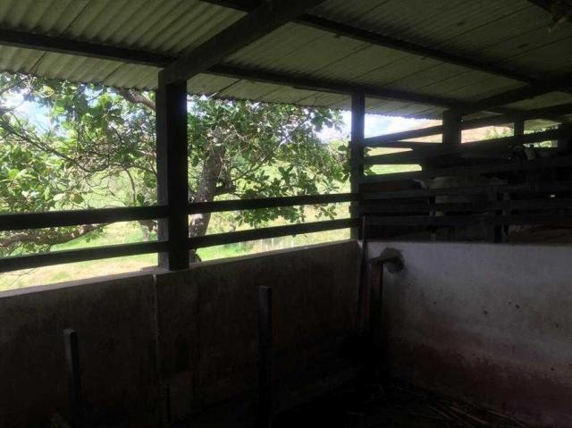 Sítio à venda em Centro, Candeias cod:47498 - Foto 16