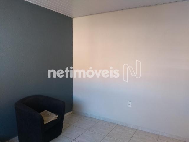 Casa à venda com 5 dormitórios em Conjunto celso machado, Belo horizonte cod:760423 - Foto 16
