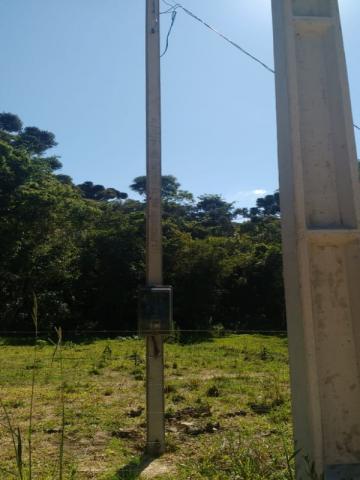 Chácara à venda em Rio do cacho, Contenda cod:CH00012 - Foto 13