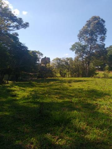 Chácara à venda em Rio do cacho, Contenda cod:CH00012 - Foto 5