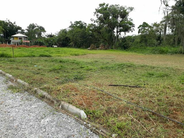 Terreno Morretes-Pr - Foto 2