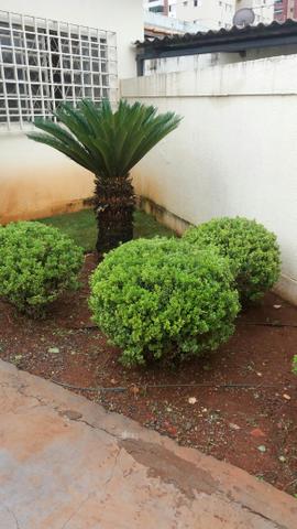 Casa grande com 4 banheiros tefone * ou 3086 7524 ou zap *