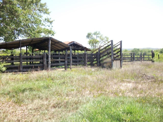 Fazenda em Almas. 28 mil por alqueire. - Foto 4