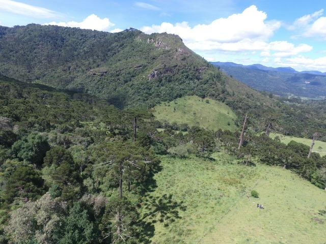 Sitio em Urubici /chácara em Urubici - Foto 3
