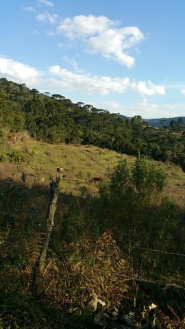 Sitio em Urubici /chacara em Urubici - Foto 12
