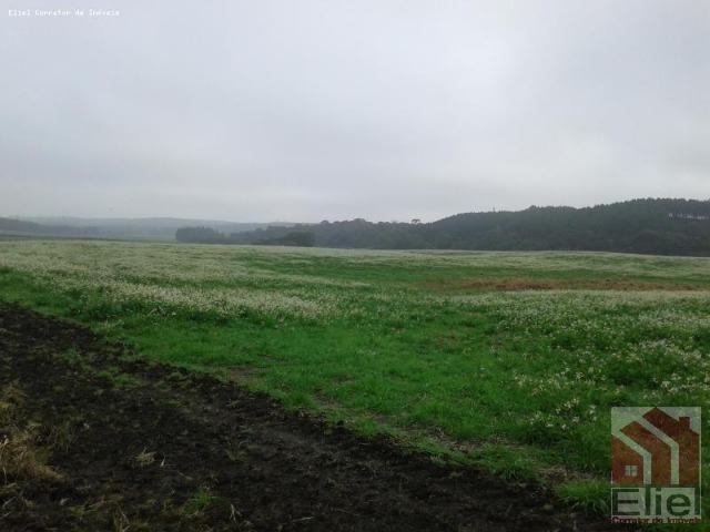 Fazenda Produtiva, Topografia Mecanizada, Propriedade Lindíssima