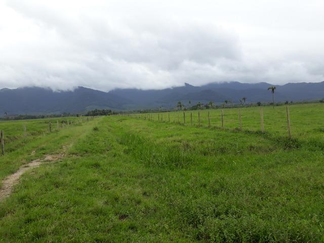Fazenda Plana toda Aproveitável, Valor muito Atrativo do que Pedem Na Região - Foto 17