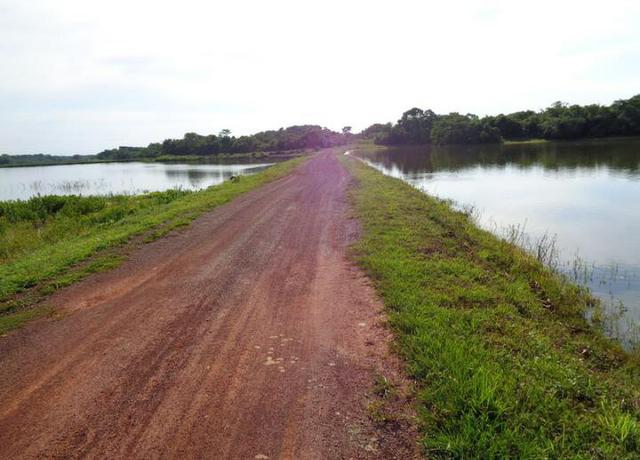 Ótima Fazenda a 50km de Cuiabá com 660ha - Foto 5