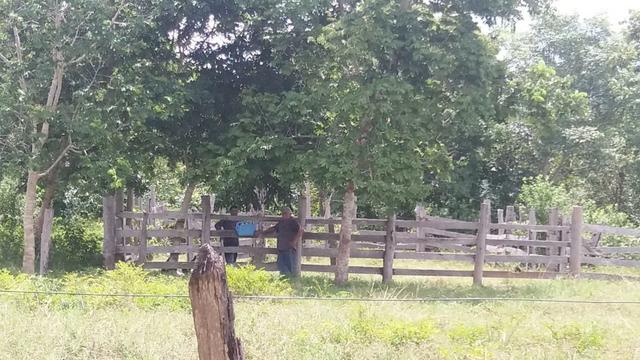 Vendo Sítio no Município de Poconé - MT - Foto 6