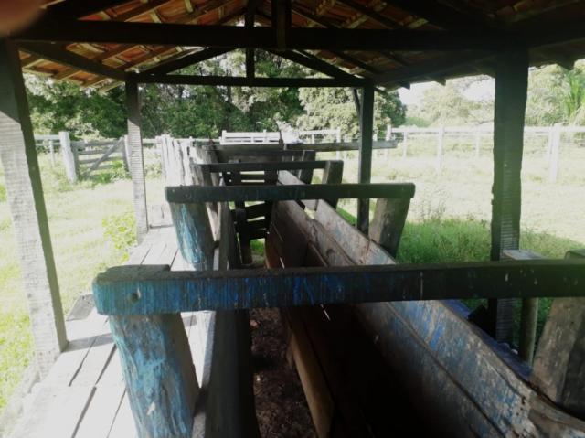 FAZENDA A VENDA EM CORUMBÁ - MS (Pecuária) - Foto 8