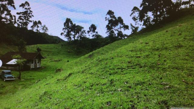 Aceita troca em Bombinhas/SC, sítio com 105.000 m² à venda em Botuverá /SC - Foto 7