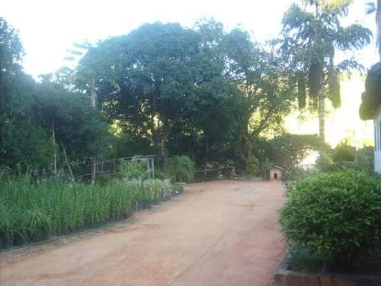 Sitio na Lajinha - Foto 11