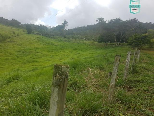 Igrapiúna. Fazenda com 845 Hectares e cachoeira, cacau, pupunha e seringa. - Foto 15
