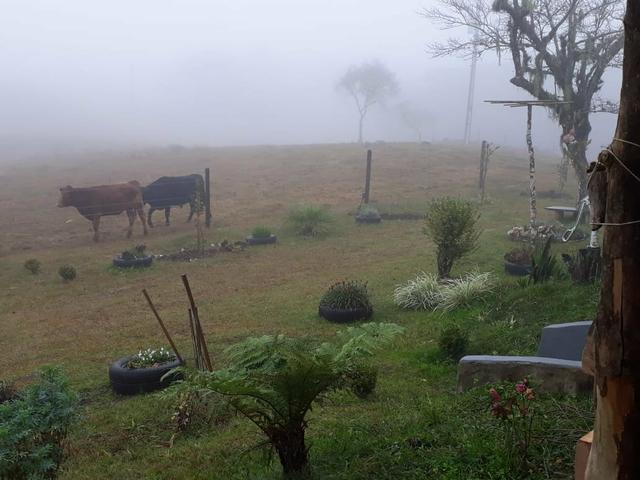 Vendo chacara no Juá RS - Foto 19