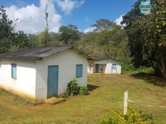 Igrapiúna. Fazenda com 845 Hectares e cachoeira, cacau, pupunha e seringa. - Foto 9
