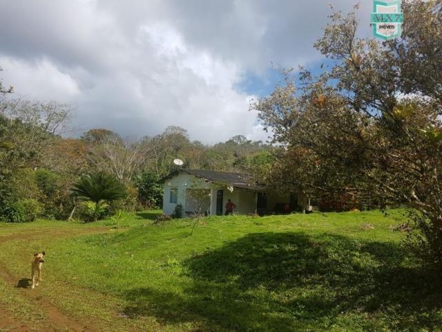 Igrapiúna. Fazenda com 845 Hectares e cachoeira, cacau, pupunha e seringa. - Foto 10