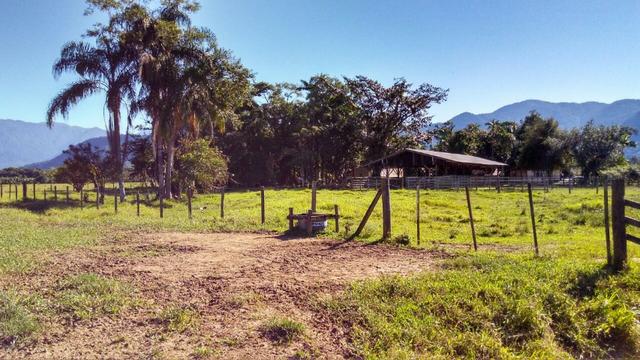 Fazenda Plana toda Aproveitável, Valor muito Atrativo do que Pedem Na Região - Foto 8